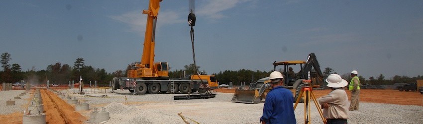 Plant Management: Best Practices & Tips